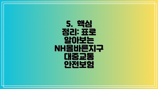 5.  핵심 정리: 표로 알아보는 NH올바른지구 대중교통 안전보험