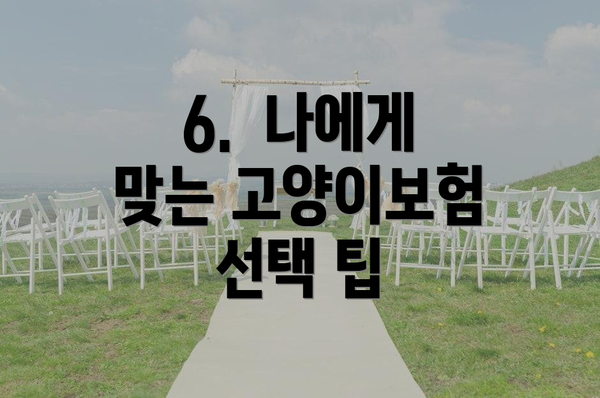6.  나에게 맞는 고양이보험 선택 팁
