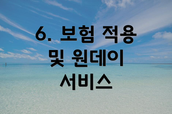 6. 보험 적용 및 원데이 서비스