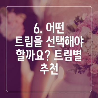 6. 어떤 트림을 선택해야 할까요? 트림별 추천