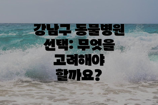 강남구 동물병원 선택: 무엇을 고려해야 할까요?