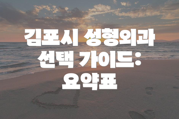 김포시 성형외과 선택 가이드: 요약표