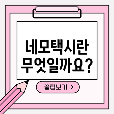 네모택시란 무엇일까요?