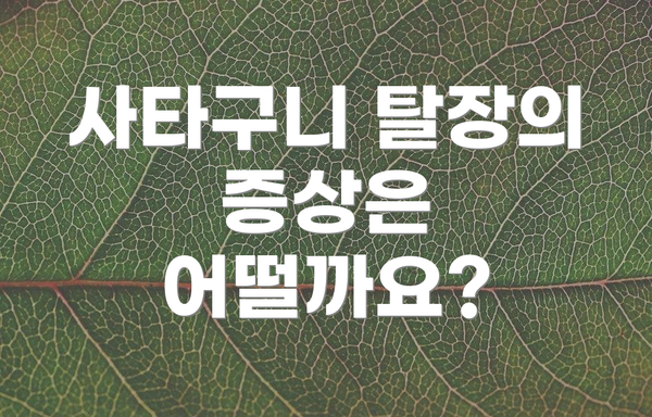 사타구니 탈장의 증상은 어떨까요?