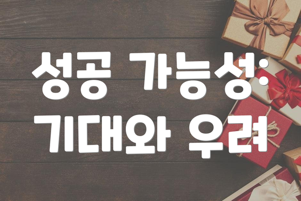 성공 가능성:  기대와 우려