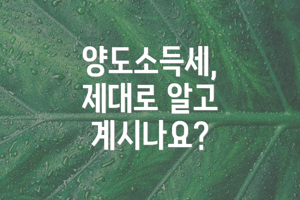 양도소득세, 제대로 알고 계시나요?