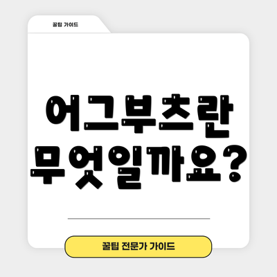 어그부츠란 무엇일까요?