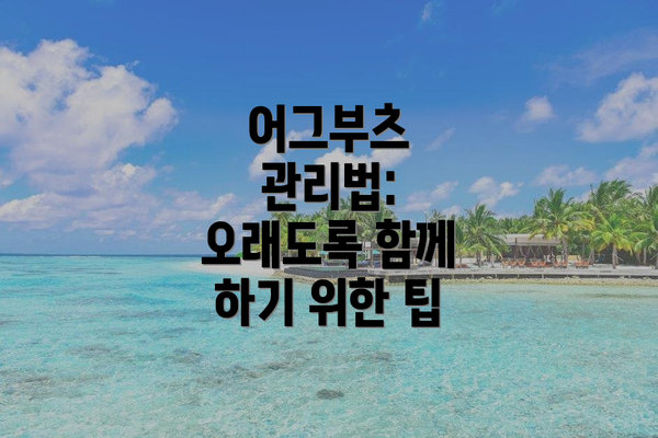 어그부츠 관리법: 오래도록 함께 하기 위한 팁