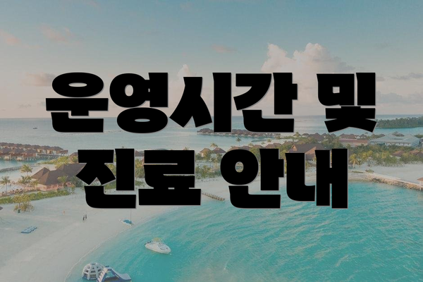 운영시간 및 진료 안내