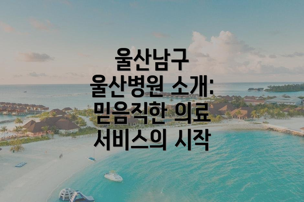 울산남구 울산병원 소개: 믿음직한 의료 서비스의 시작