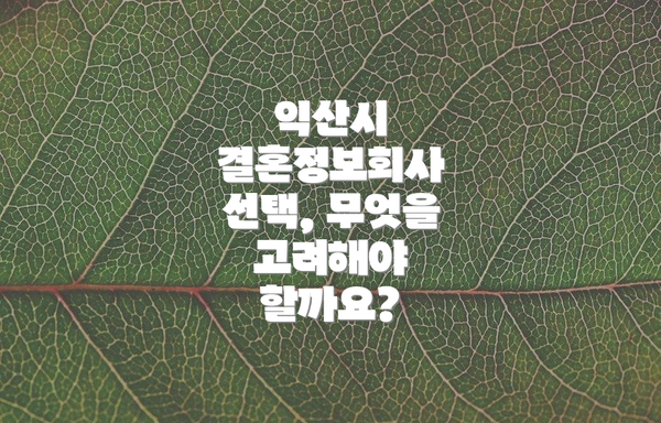 익산시 결혼정보회사 선택, 무엇을 고려해야 할까요?
