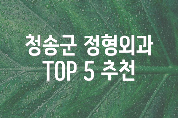 청송군 정형외과 TOP 5 추천