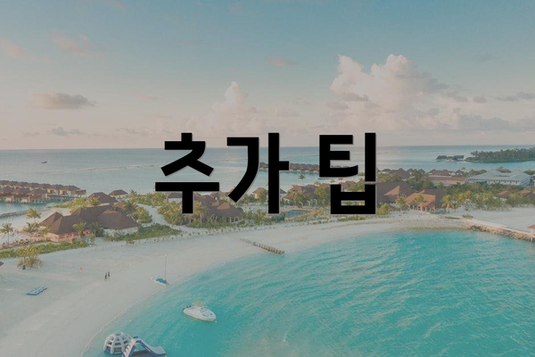 추가 팁