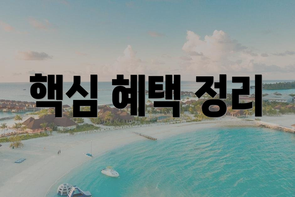 핵심 혜택 정리