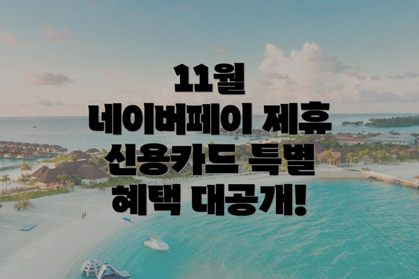 11월 네이버페이 제휴 신용카드 특별 혜택 대공개!