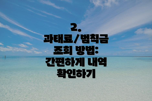 2. 과태료/범칙금 조회 방법: 간편하게 내역 확인하기