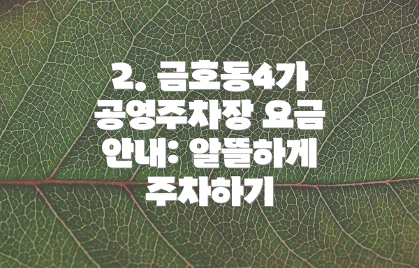 2. 금호동4가 공영주차장 요금 안내: 알뜰하게 주차하기