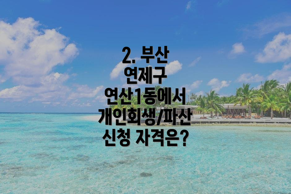 2. 부산 연제구 연산1동에서 개인회생/파산 신청 자격은?
