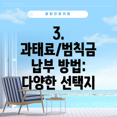 3. 과태료/범칙금 납부 방법: 다양한 선택지