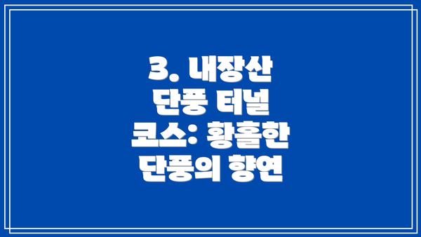 3. 내장산 단풍 터널 코스: 황홀한 단풍의 향연