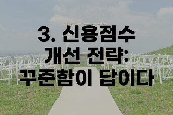 3. 신용점수 개선 전략: 꾸준함이 답이다