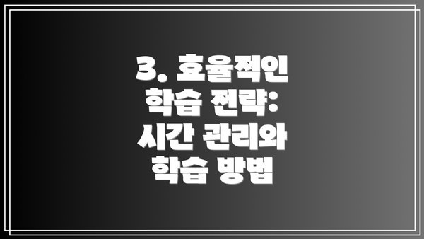 3. 효율적인 학습 전략: 시간 관리와 학습 방법