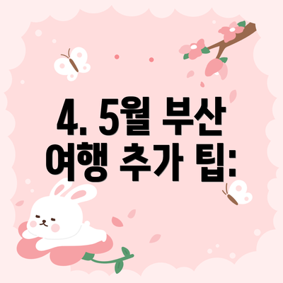4. 5월 부산 여행 추가 팁: