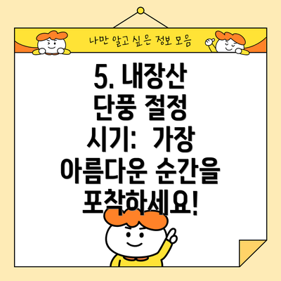 5. 내장산 단풍 절정 시기:  가장 아름다운 순간을 포착하세요!