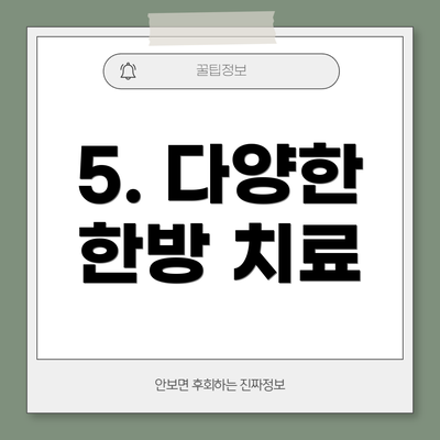 5. 다양한 한방 치료