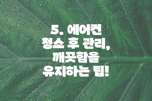 5. 에어컨 청소 후 관리, 깨끗함을 유지하는 팁!