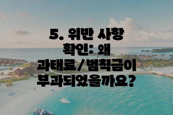 5. 위반 사항 확인: 왜 과태료/범칙금이 부과되었을까요?