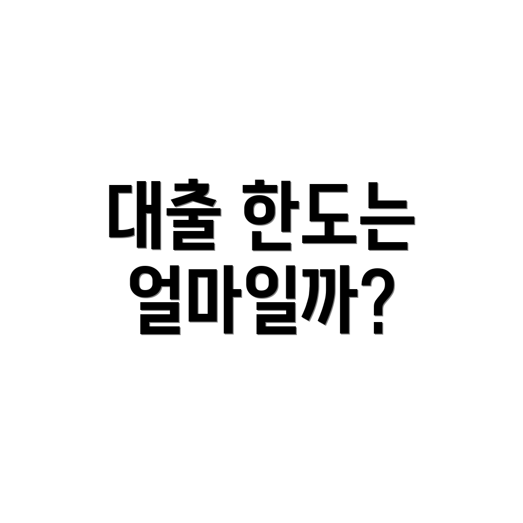 대출 한도는 얼마일까?