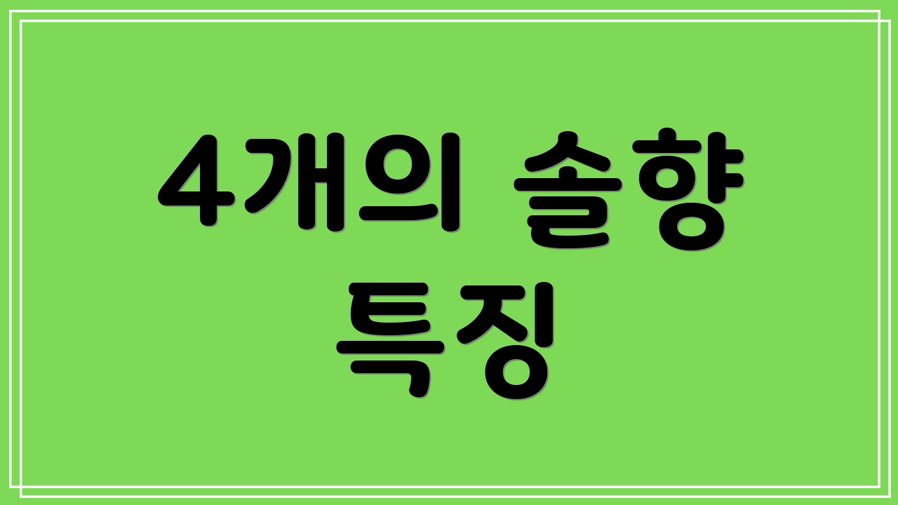 4개의 솔향 특징