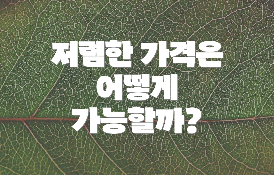 저렴한 가격은 어떻게 가능할까?