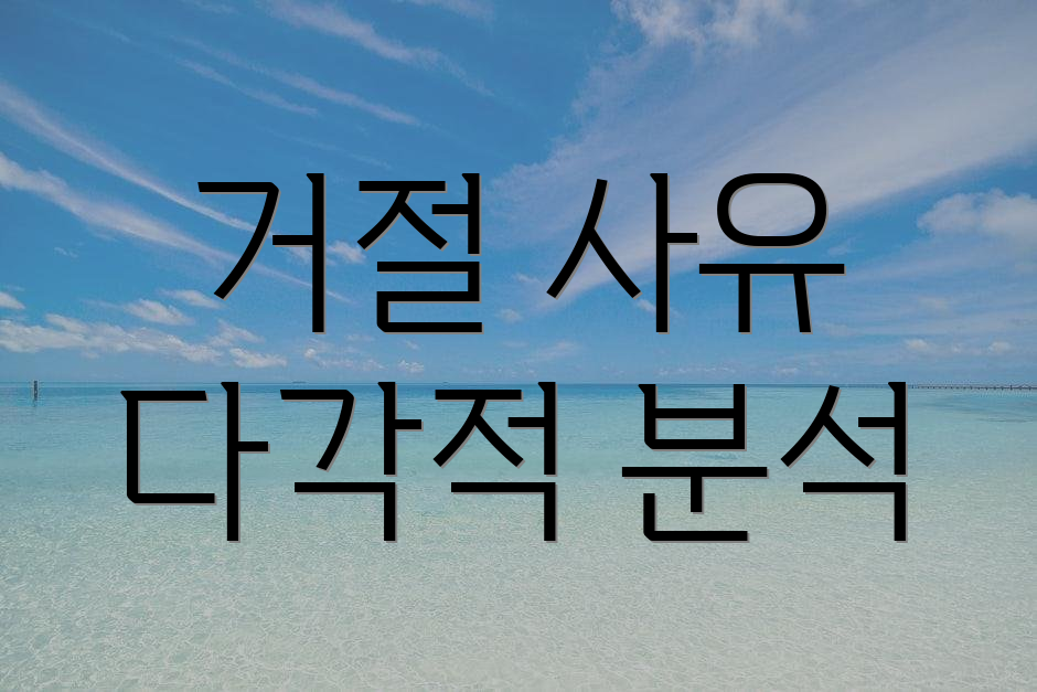 거절 사유 다각적 분석