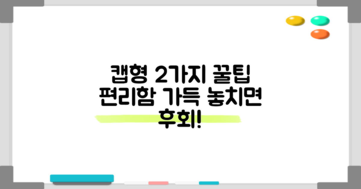 2가지 캡형 편리함