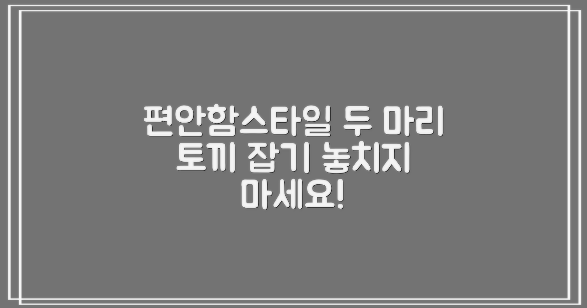 편안함과 스타일, 두 마리 토끼