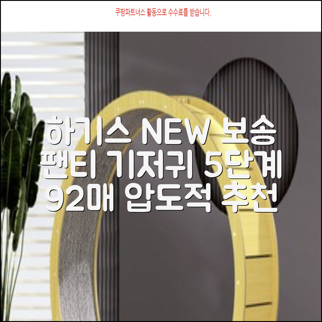 하기스 NEW 보송보송 팬티형 기저귀 공용, 5단계, 92매 추천 리뷰