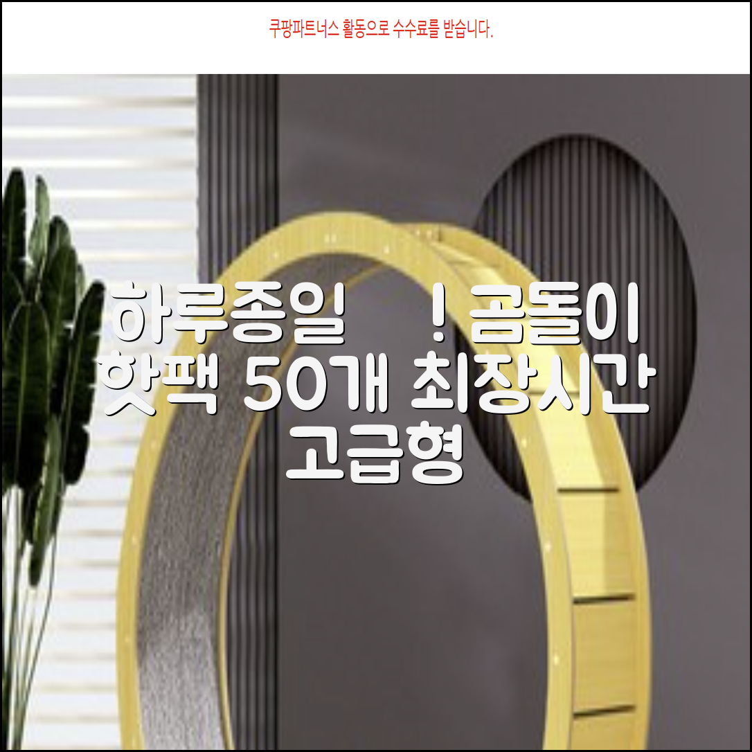 곰도리 하루종일 촥~ 붙이는 핫팩 장시간 고급형, 50개 추천 리뷰