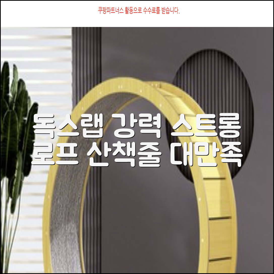 독스랩 1.5m 2m 3m 5m 스트롱 로프 소형견 중형견 대형견 줄 강아지 리드줄 산책줄, 블랙, 1개 추천 리뷰