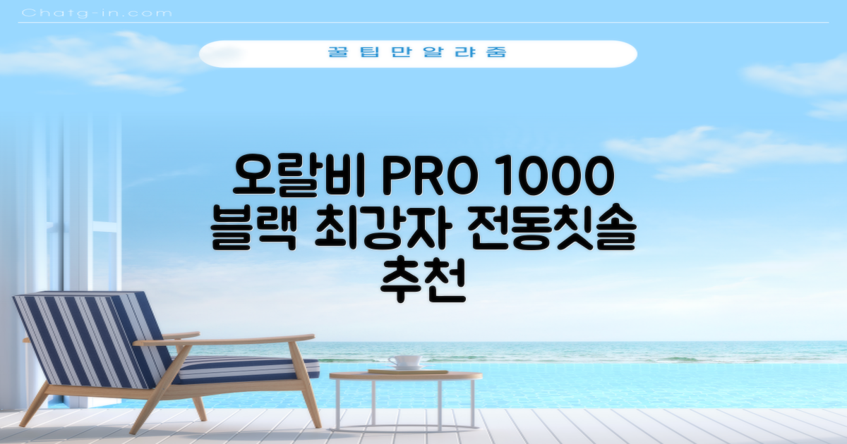 오랄비 전동칫솔, PRO 1000, 블랙, 1개 추천 리뷰