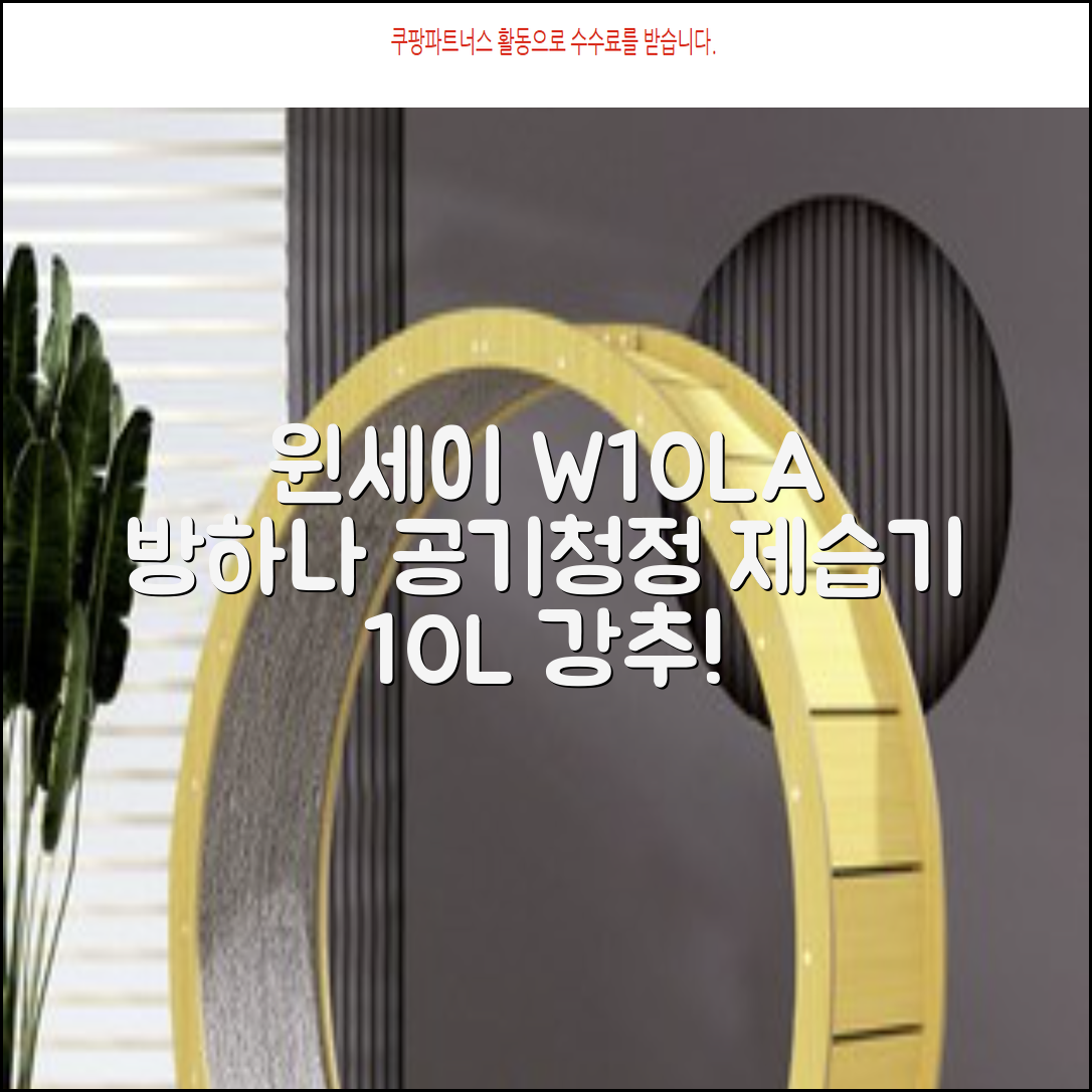 윈세이 인버터 방하나 공기청정 제습기 10L W10LA 추천 리뷰