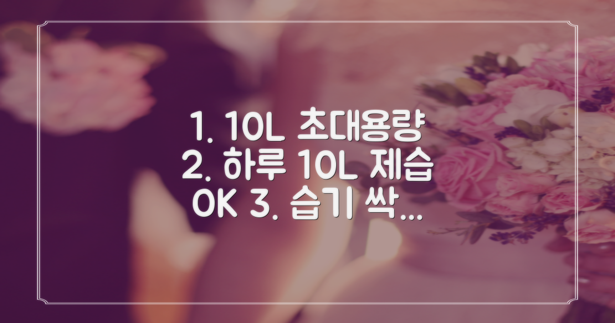 10L 대용량, 하루 10L 제습